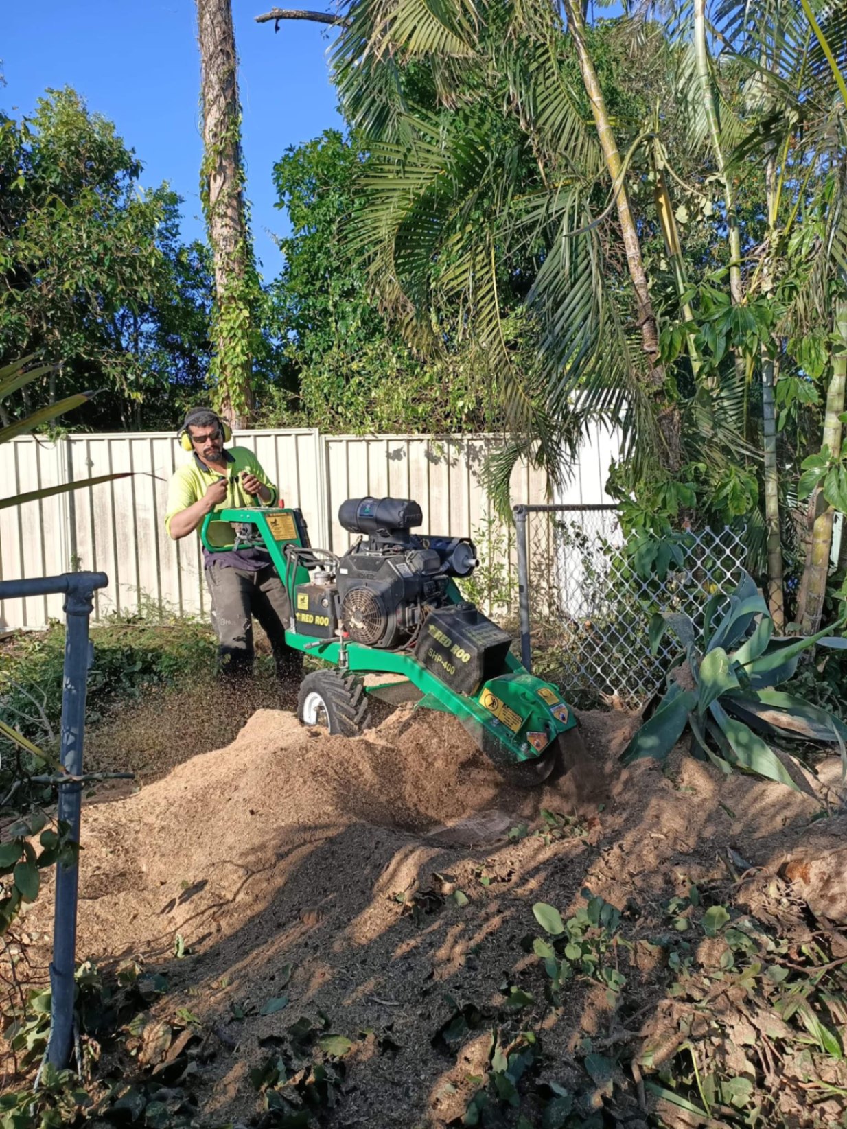 Tree Lopping & Removal Brisbane | Fully Insured | Tree Clear